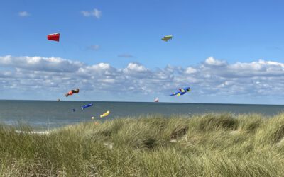 + Wir wünschen schöne, erholsame Sommerferien +