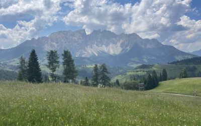 + Sommer, Sonne, Urlaubszeit: Hebisch Immobilien wünscht Ihnen schöne Sommerferien +